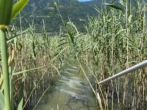 Unterwassersteg - Seehaus zur Dauermiete – privater Steg & Garten, direkt am Ossiacher See